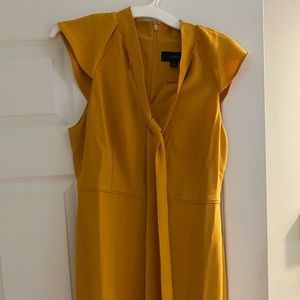 NWT J Crew Dress